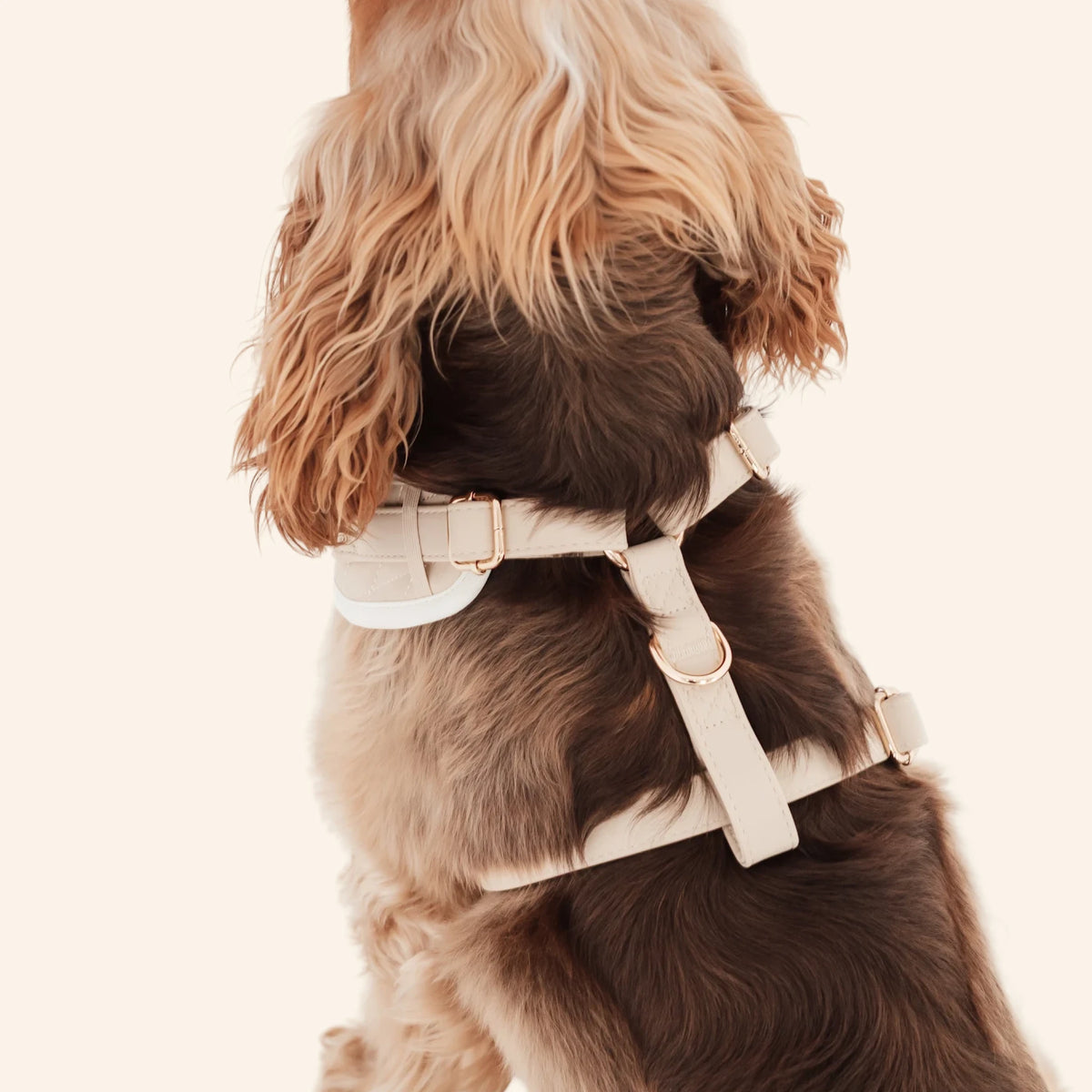 Biscuit PU leather Harness