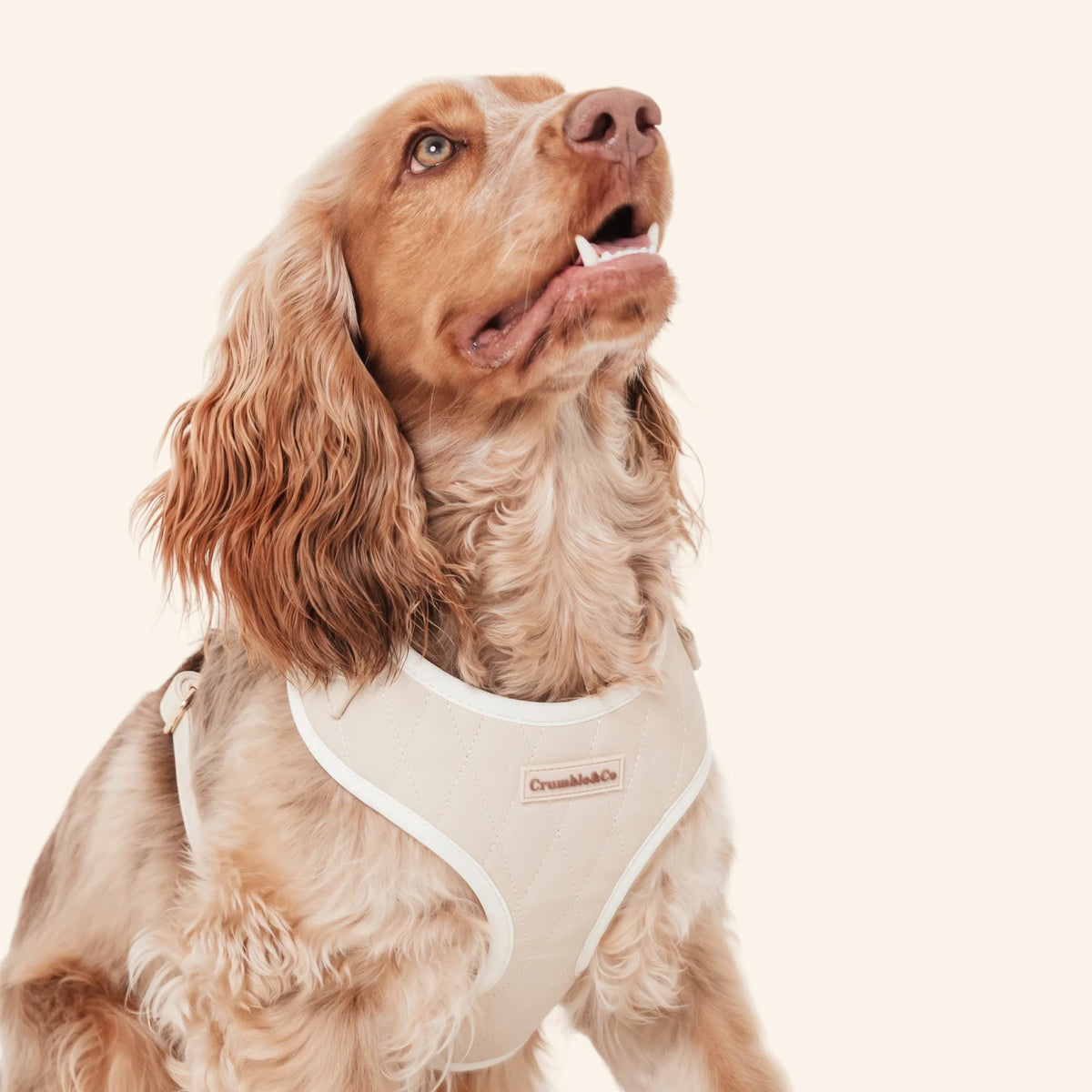 Biscuit PU leather Harness