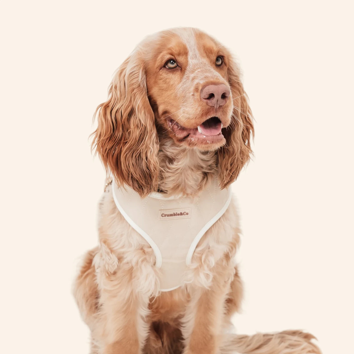 Biscuit PU leather Harness