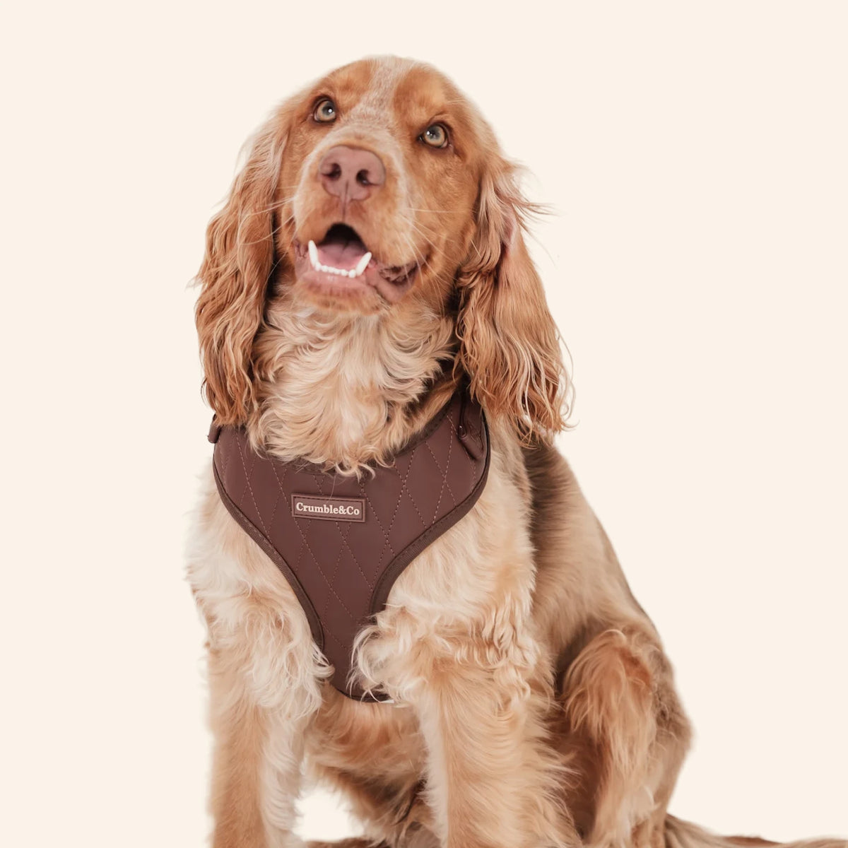 Espresso PU Leather Harness