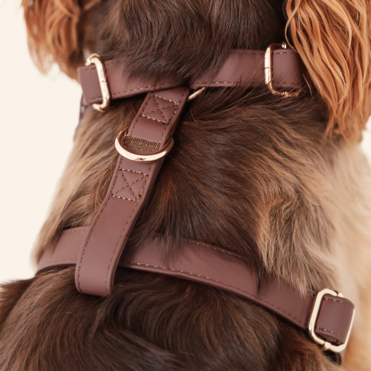 Espresso PU Leather Harness